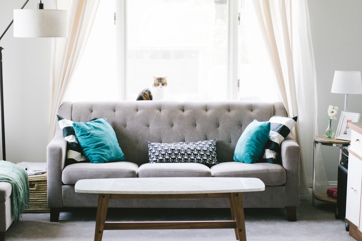 Molmic Lounges Custom Solutions